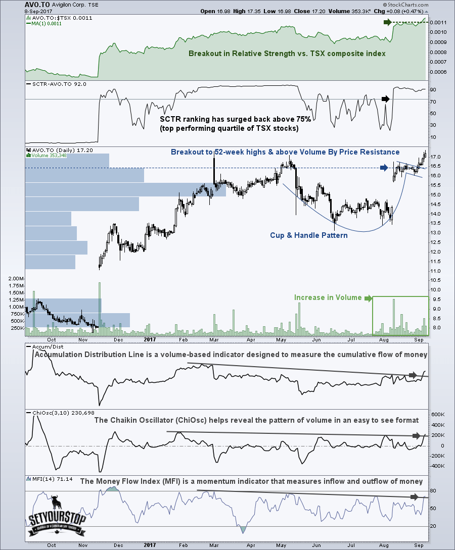 Avigilon Corp. (TSX-AVO)