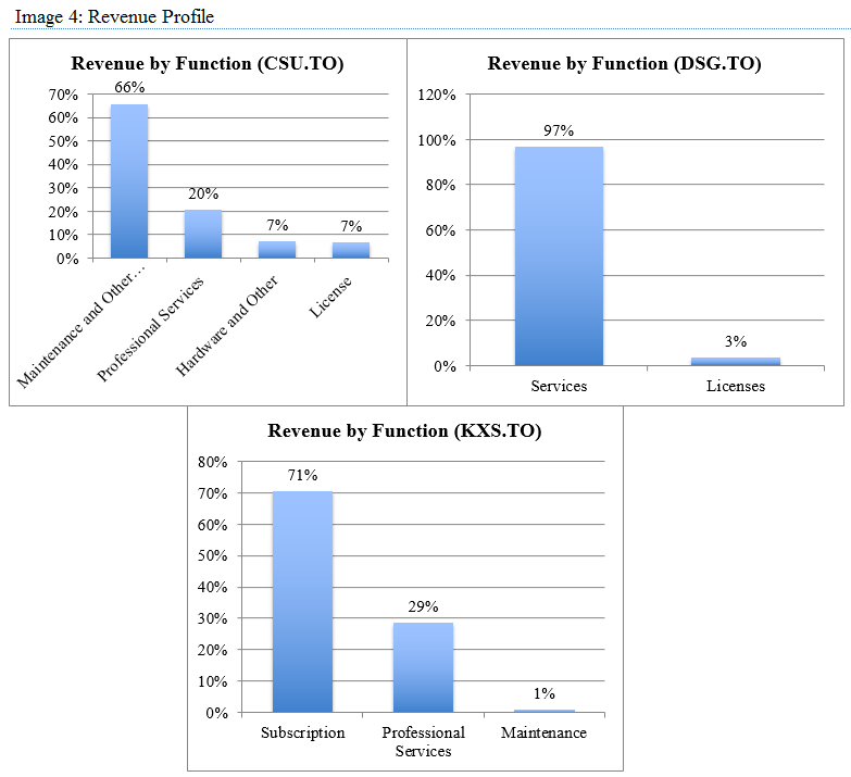 SaaS Revenue Profile